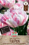 Sperli Premium Gefllte Spte Tulpe Finola tulipn virghagyma (szllts 2024.09.01-09.15 kztt)