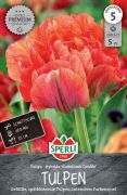 Sperli Premium Gefllte Spte Tulpe Gudoshnik Double tulipn virghagyma (szllts 2024.09.01-09.15 kztt)