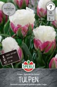Sperli Premium Gefllte Spte Tulpe Ice Cream tulipn virghagyma (szllts 2024.09.01-09.15 kztt)