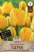 Sperli Gefranste Tulpe Crystal Star tulipn virghagyma (szllts 2024.09.01-09.15 kztt)