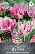 Sperli Premium Gefranste Tulpe Purple Circus tulipn virghagyma (szllts 2024.09.01-09.15 kztt)