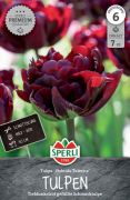 Sperli Premium Gefllte Frhe Tulpe Palmyra tulipn virghagyma (szllts 2024.09.01-09.15 kztt)