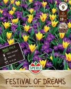 Sperli Maxi Festival of Dreams tulipn s krkusz virghagyma sszellts (szllts 2024.09.01-09.15 kztt)