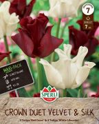 Sperli Frhlingsgarten Crown Duet Velvet and Silk tavaszi virghagyma keverk (szllts 2024.09.01-09.15 kztt)