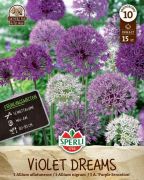 Sperli Frhlingsgarten Violet Dreams tavaszi virghagyma keverk (szllts 2024.09.01-09.15 kztt)