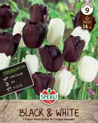 Sperli Frhlingsgarten Black and White tavaszi virghagyma keverk (szllts 2024.09.01-09.15 kztt)