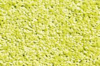 Hamat 551 Future 022 lime lbtrl 60x80 cm
