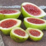  FICUS CARICA PARADISO  CLT. 10 fge