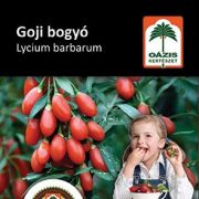 Ozis goji bogy - Lycium barbarum 