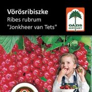 Ozis ribizli - Ribes rubrum 