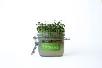  Capsul farm mikrozld szett, mustr