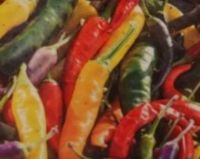 Ozis Cayenne chili paprika mix vegyes terms palnta 10,5/12 cm-es cserpben