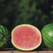  Cucumis melo mini-grgdinnye palnta 12 cm-es cserpben (szllts prilis vgtl)