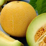  Glia dinnye palnta 12 cm-es cserpben (szllts prilis vgtl)