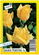 Golden Perfume teahibrid gykrcsomagolt rzsat