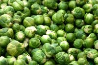  Brassica oleracea kelbimb palnta 12 cm-es cserpben