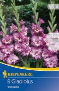 Kiepenkerl Gladiolus Vuvuzela kardvirg virghagymk 4'