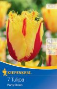 Kiepenkerl Tulipa Party Clown rojtosvirg tulipn virghagymk (szllts 2024.09.01-09.15 kztt)