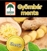 Ozis Gymbr menta KK, ID