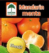 Ozis Mandarin menta KK, ID