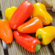  Snack paprika palnta 12 cm-es cserpben