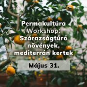  Permakultra Workshop - Szrazsgtr nvnyek, mediterrn kertek 2025. 05. 31.