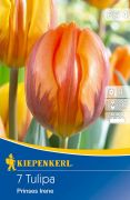 Kiepenkerl Tulipa Prinses Irene korai egyszer-virg tulipn virghagymk
