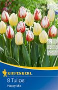 Kiepenkerl Tulipa Happy Mix vegyes tulipn virghagymk