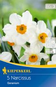 Kiepenkerl Narcissus Geranium nrcisz virghagymk
