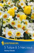 Kiepenkerl Tulipa Narcissus Mix Sunny Clouds vegyes tulipn s nrcisz virghagymk
