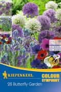 Kiepenkerl Colour Symphony Anemone/Camassia/Allium Butterfly Garden virghagyma sszellts