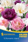 Kiepenkerl Colour Symphony Tulipa Romantic Island virghagyma sszellts