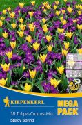 Kiepenkerl Tulipa/Crocus Spacy Spring virghagyma sszellts MEGA PACK