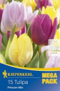 Kiepenkerl Tulipa Princen-Mix vegyes tulipn virghagymk MEGA PACK