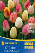 Kiepenkerl Tulipa Pastell Farbenspiel vegyes tulipn virghagymk MEGA PACK