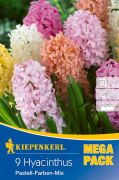 Kiepenkerl Hyacinthus Pastell-Farben-Mix vegyes jcint virghagymk MEGA PACK