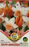  Tulipa-Narcissus Duo Orange Dreams tulipn-nrcisz virghagymk