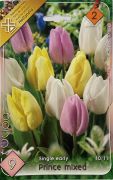  Tulipa Single early Prince mixed vegyes tulipn virghagymk 2'