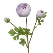  Mvirg rzsa, halvny lila szn 10 cm x 5 cm x 51 cm