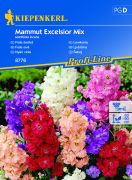 Kiepenkerl Mammut Excelsior Mix nyári viola vetőmag D'