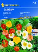 Kiepenkerl Pastell-Mix izlandi mk vetmag B'