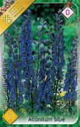 Aconitum blue Sisakvirg virghagyma 0'