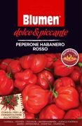 Blumen Peperone Habanero Rosso, extrém csípős piros habanero chili paprika vetőmag