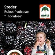 Oázis szeder - Rubus fruticosus 