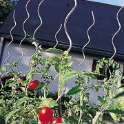 Nortene Tomato Spiral Epoxy, epoxigyantával bevont spirál alakú paradicsomkaró (ER)