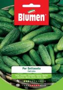 Blumen Per sottaceto savanyításra való uborka vetőmag