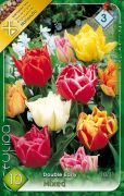  Tulipa Double Early Mixed vegyes teltvirg tulipn virghagymk 3'