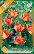  Tulipa Double Early Willem van Oranje teltvirg tulipn virghagymk 3'