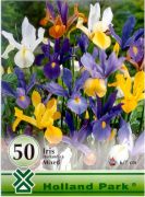  Iris hollandica mix vegyes risz virghagymk mega pack
