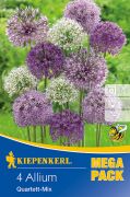 Kiepenkerl Allium Groblumiger Quartett-Mix vegyes dszhagyma virghagymk MEGA PACK